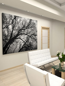 venta instalación fotomurales Getafe Madrid